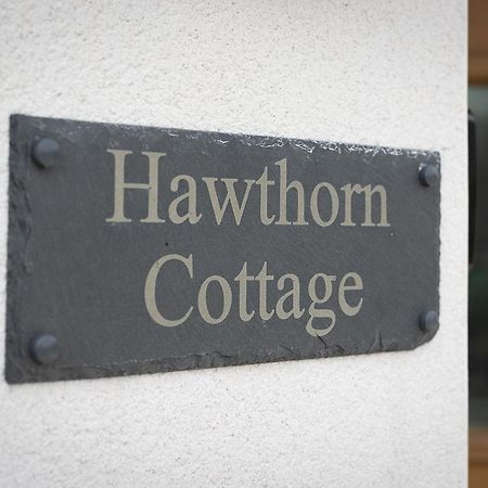 Hawthorn Cottage Tenby Zewnętrze zdjęcie